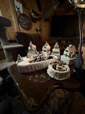 Foto dell'oggetto di un acquirente verificato