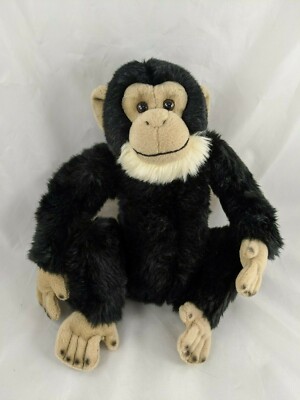 webkinz african chimpanzee