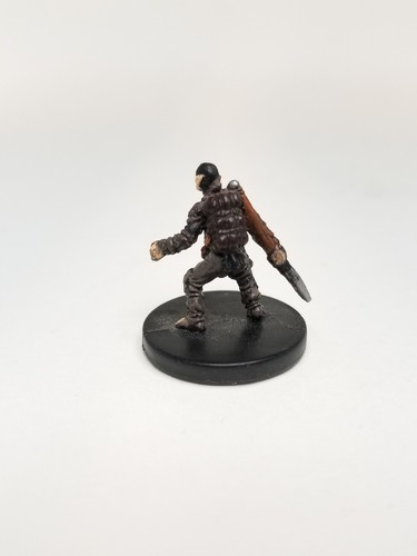 Wizards of the Coast Dungeons & Dragons Miniature TOMBSEEKER 20/60