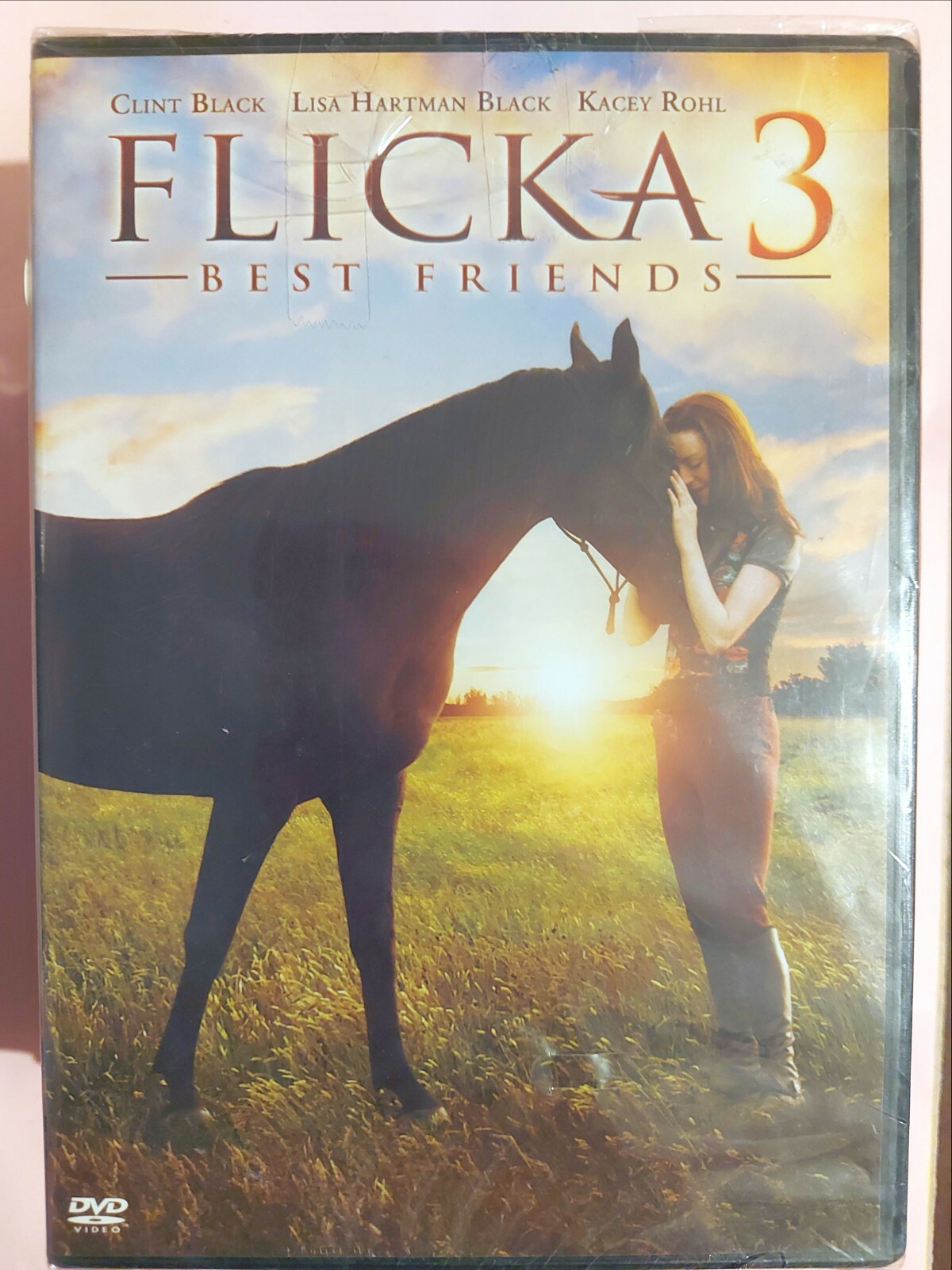 洋画・外国映画 American Treasures New Zealand [DVD] DVD