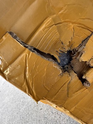 Artikelfoto(s) von einem verifizierten Käufer