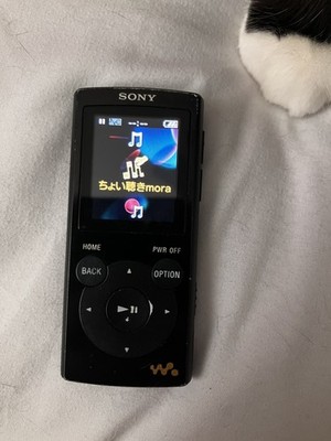 (未使用･未開封品)　SONY ウォークマン Eシリーズ 4GB ブラック NW-E063/B p1m72rm SONY NW-E063 (B) [4GB ブラック] 価格比較 - 価格.com