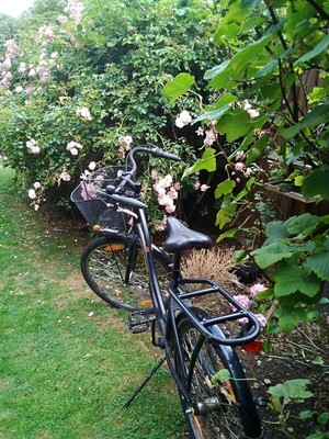 royal london retro bike