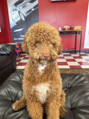 Objectfoto('s) van geverifieerde koper