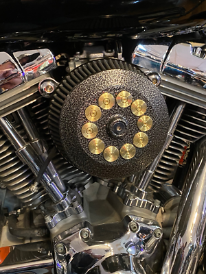 JT s Cycles Custom Air Cleaner Cover Powder Coated Silver Vein .50 Cal Harley