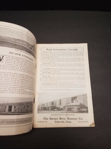 1918 Barnes Brothers Nursery Catalog Yalesville Connecticut - Illustrated
