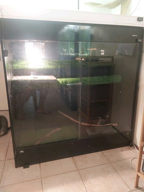 reptile one enclosure