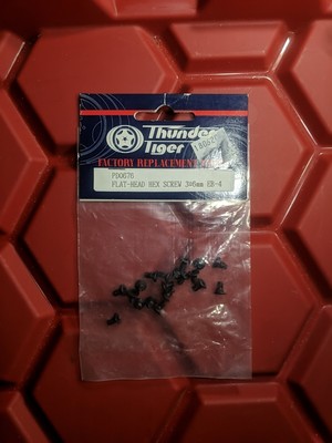 Thunder Tiger #PD0676 Flat Head Socket Hex Screw 3x6mm (20) OEM EB-4