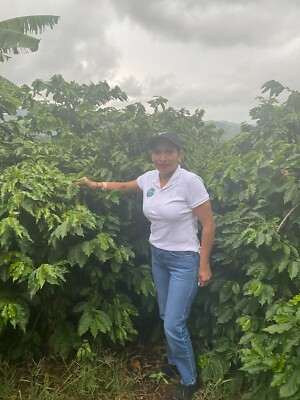 PUERTO RICO COFFEE BEANS HACIENDA SAN PEDRO MEDIUM ROASTED 2 POUNDS