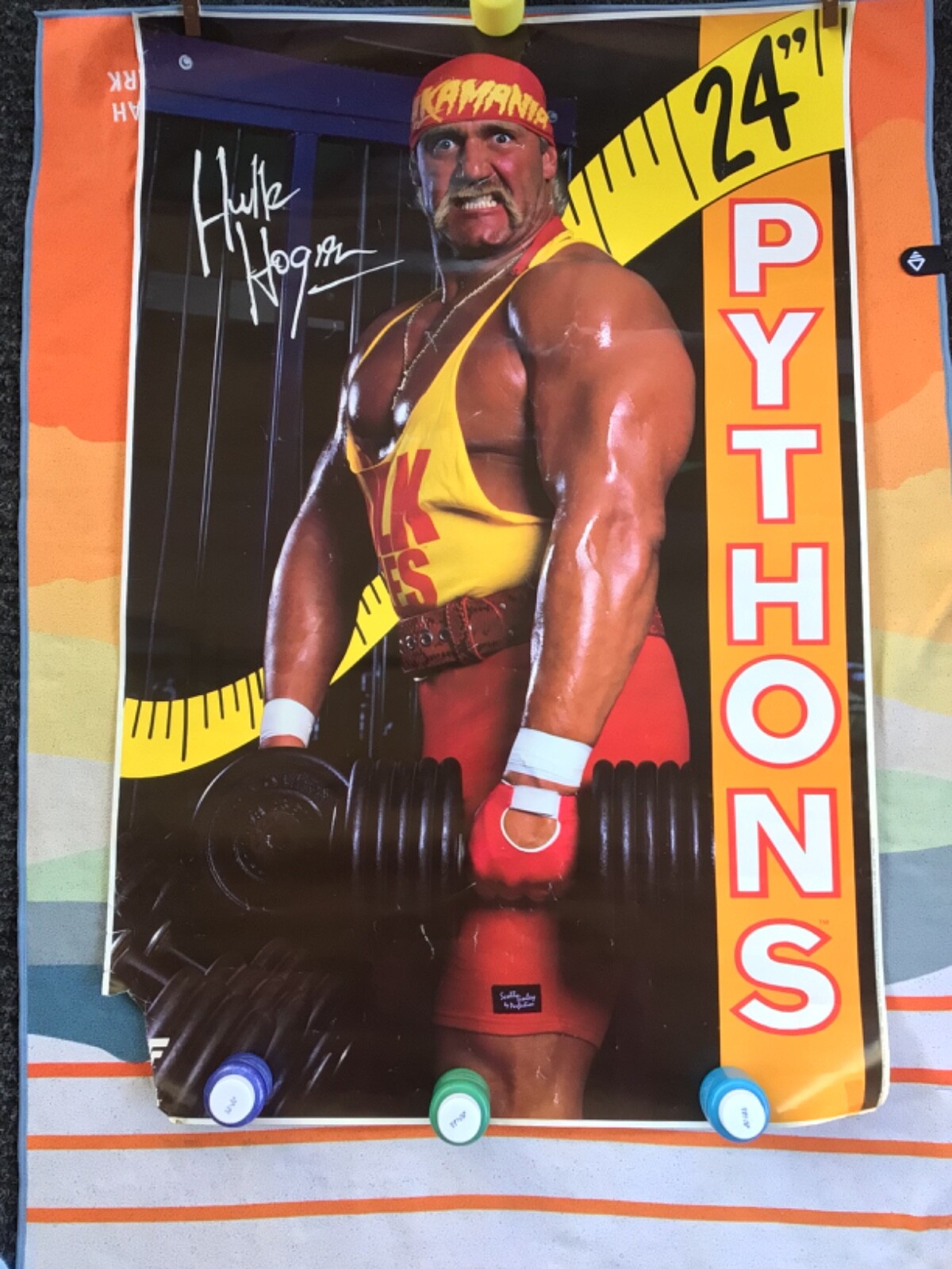 洋楽 Hulk Hogan Record / Picture Disc Hulk Hogan Picture