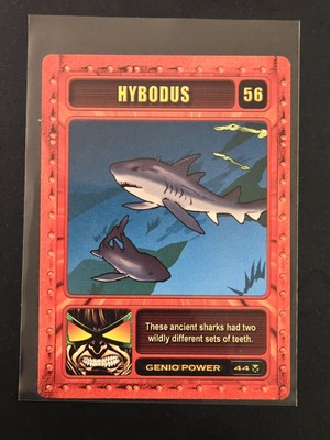 Genio Card Set