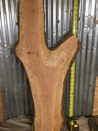 Fiddleback Figured Black Cherry Live edge slab