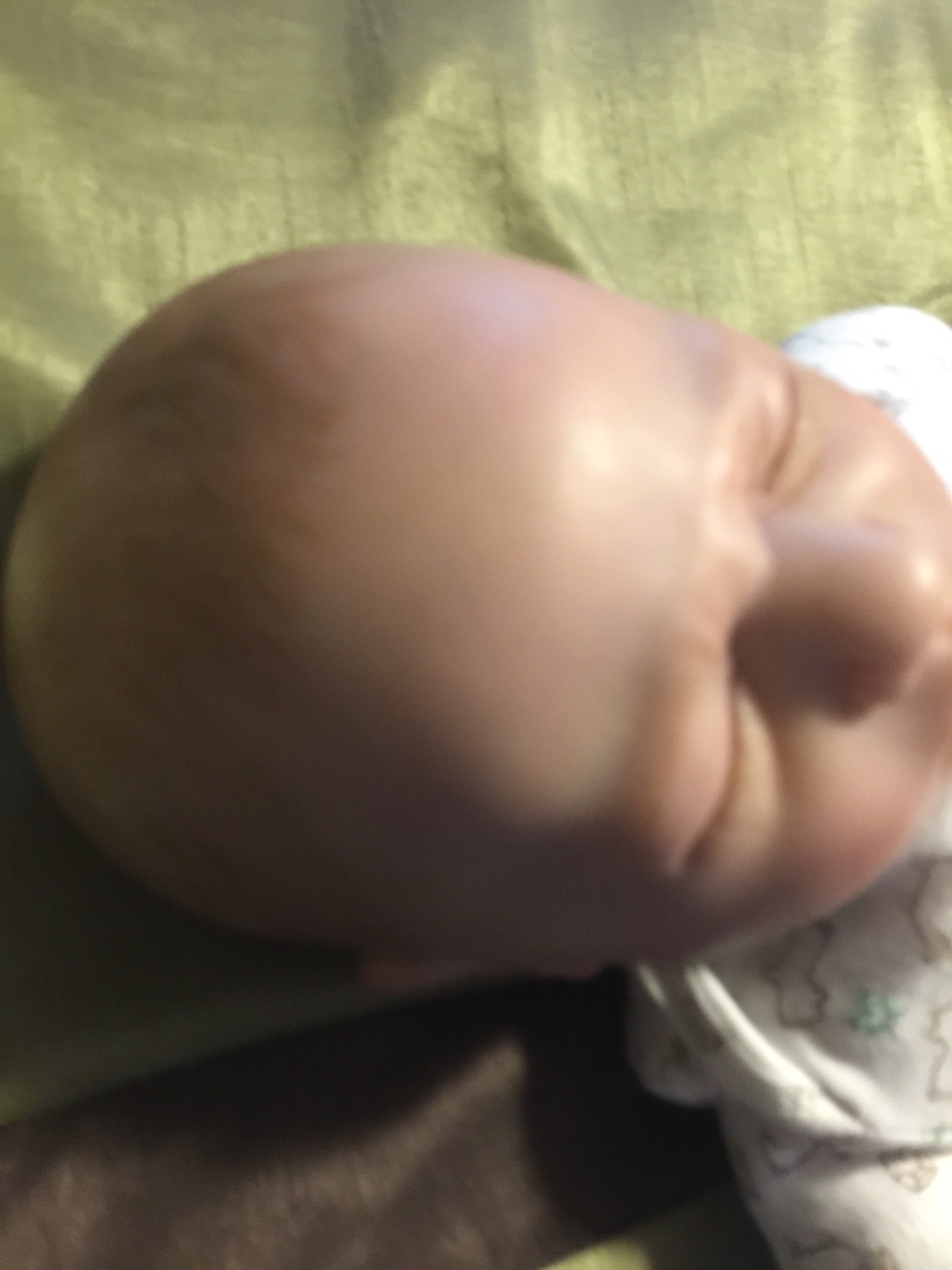 Reborn Life Like Realistic Weighted Baby Doll