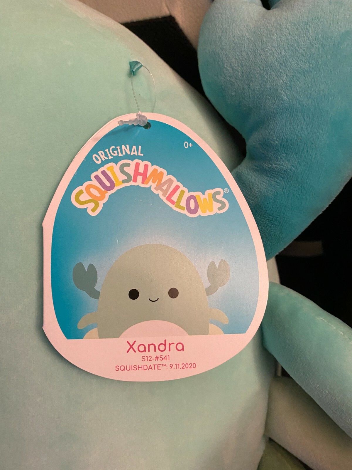 xandra crab squishmallow
