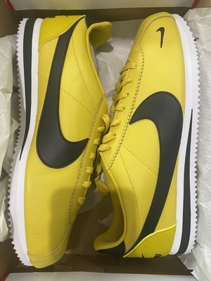 cortez blazing sun