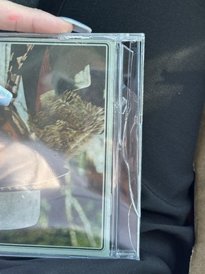 Foto dell'oggetto di un acquirente verificato