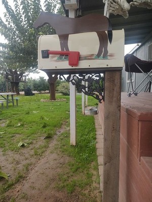 Fotos del artículo de un comprador verificado