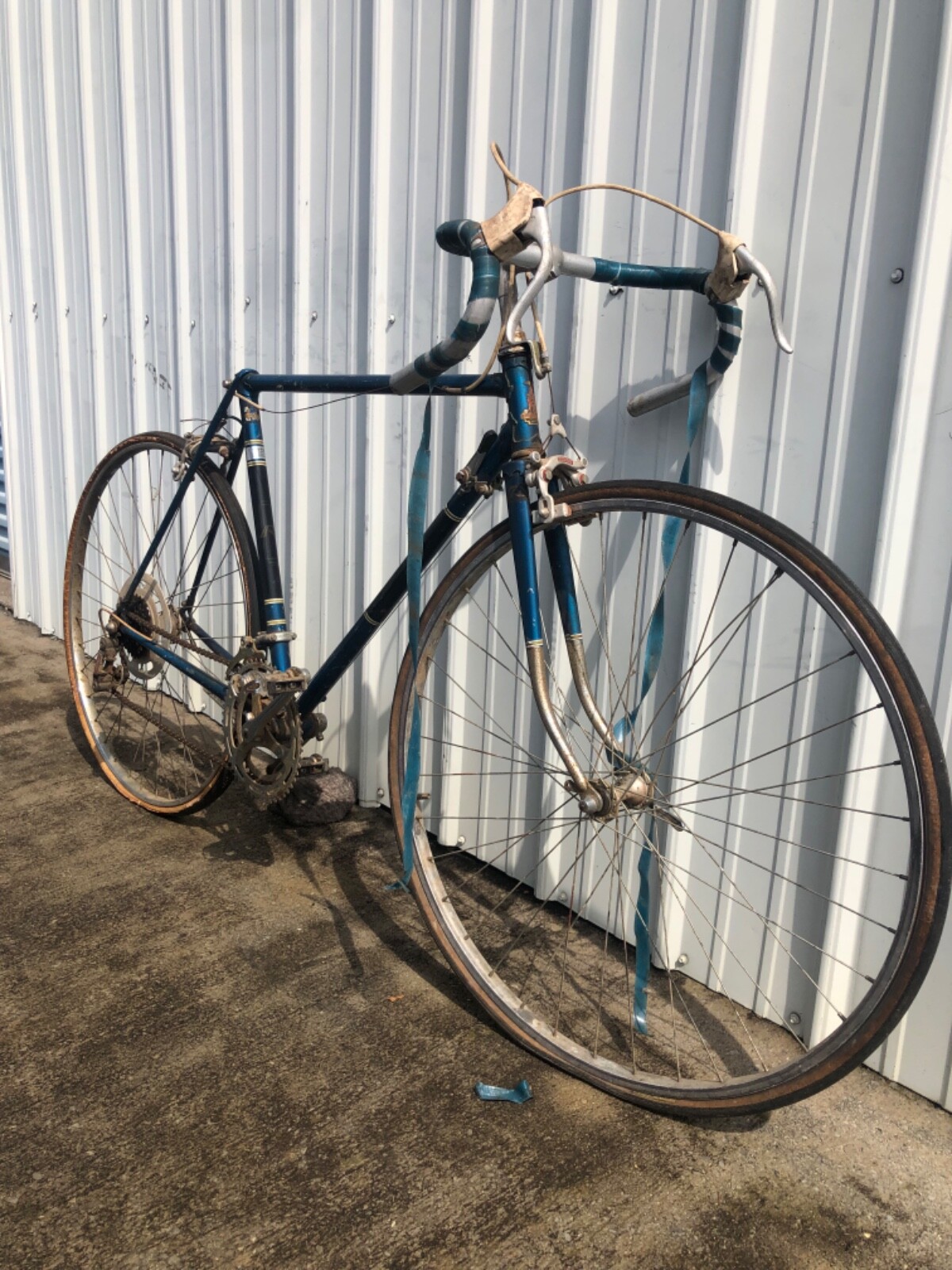 ラレー　RALEGH フレームのみ Raleigh(ラレー) Carlton-R(カールトンR) CRR フレームセット