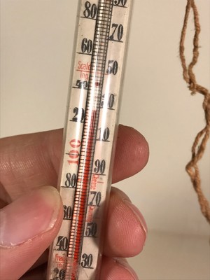 Floating Dairy glass Thermometer w/ TUBE made in germany Vintage