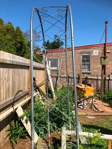 Garden arch grow a climber on it | Pots & Garden Beds | Gumtree