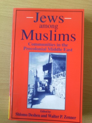 Jews Among Muslims: Communities in the Precolonial Middle East