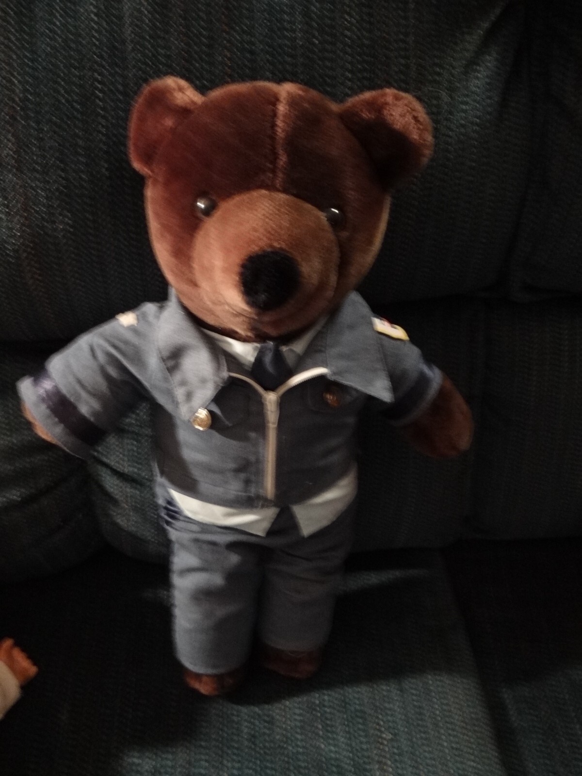 PATRIOT BEAR U.S.A.F. ぬいぐるみ 約30cm $_57.PNG?set_id=880000500F