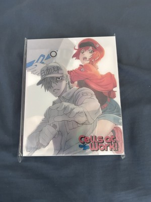 Cells at Work! Blu-ray Box Set Collection (Season 1) Aniplex of America Anime
