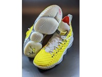 lebron 16 size 12.5
