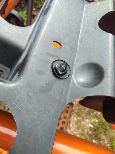Foto dell'oggetto di un acquirente verificato