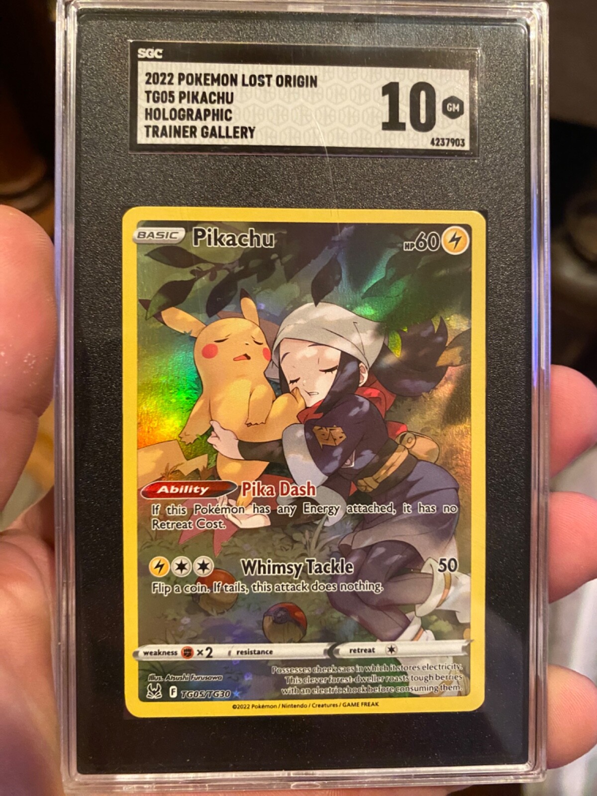 graded pokemon cards SGC Mint 10 | eBay