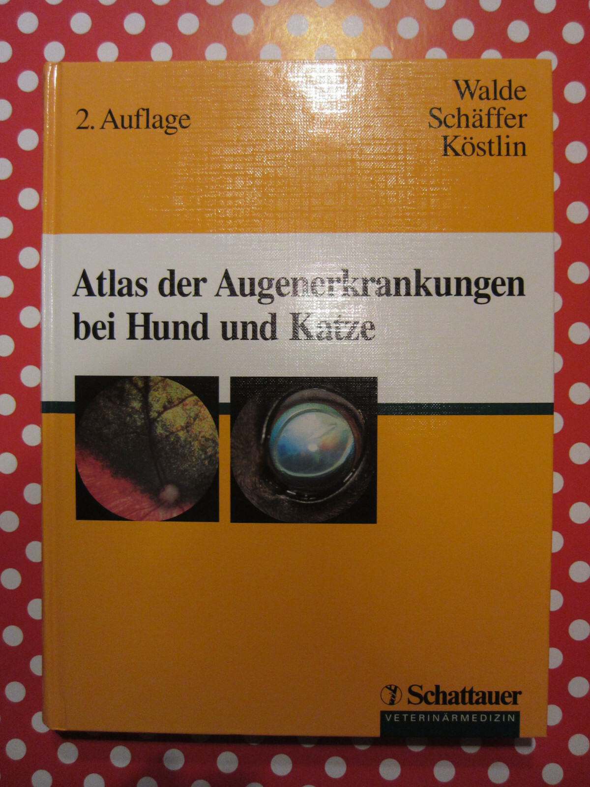 Atlas der Augenerkrankungen bei Hund und Katze Walde/Schäffer/Köstlin Buch