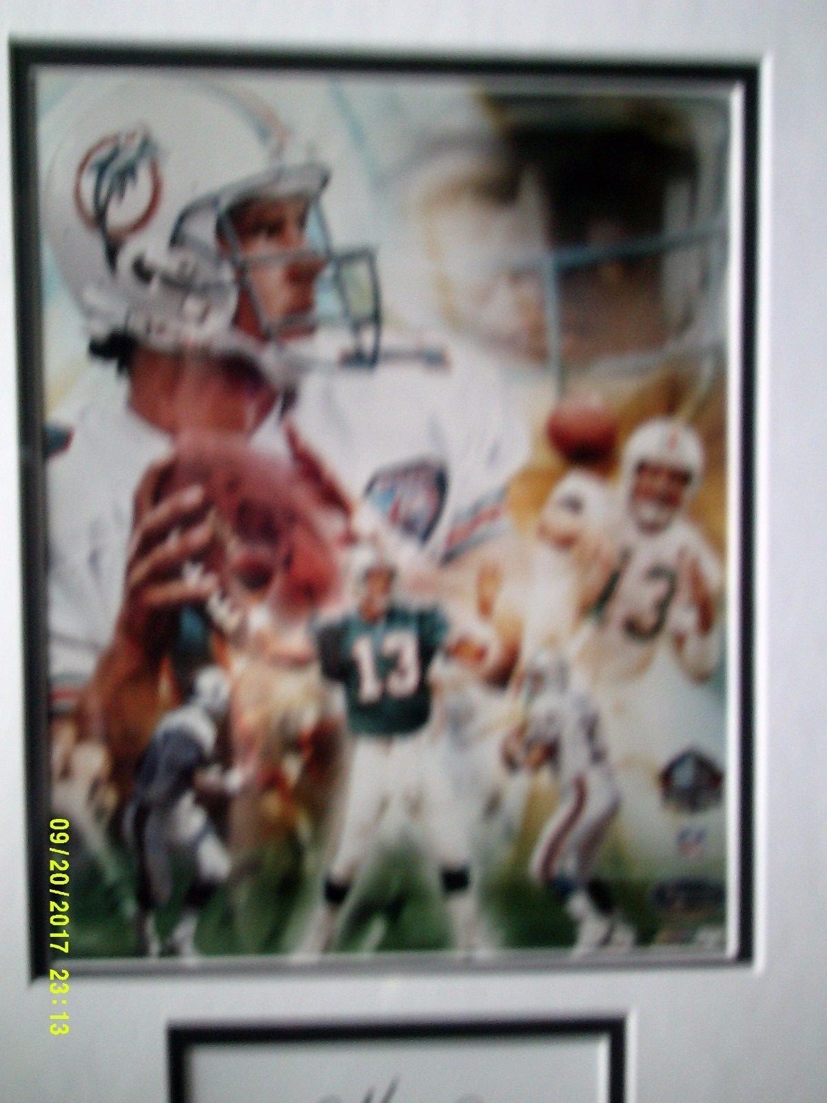Dan Marino Miami Dolphins Signed Framed 16x20 NFL MVP HOF Autographed