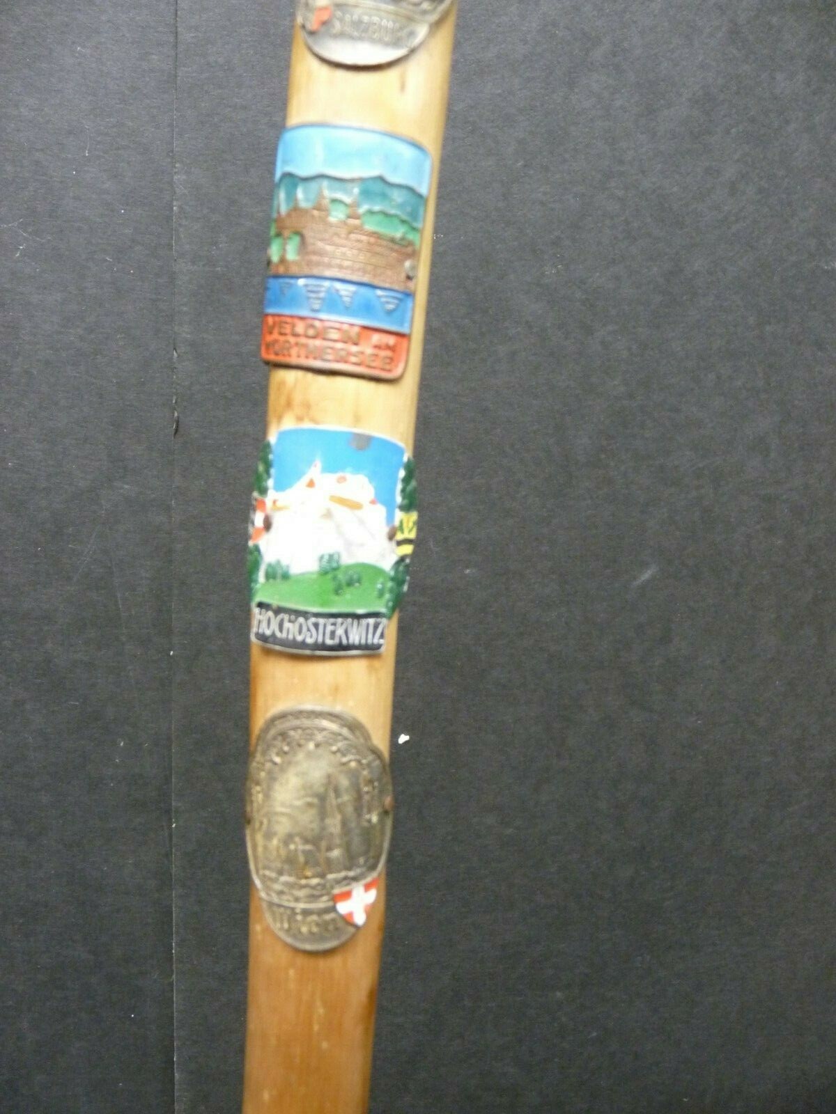 Austrian Walking Cane Spike Tip Six Badges Alps