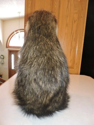 Raccoon Mount Taxidermy Whitetail Deer Shed Antler Log Cabin Decor Mule Novelty
