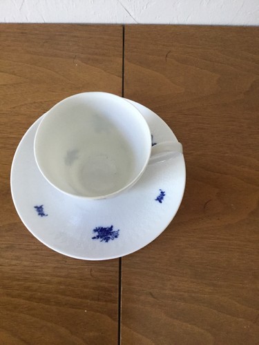 Antique Flow Blue Rosenthal Porcelain Cup and Saucer