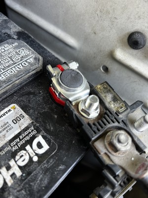 Fotos del artículo de un comprador verificado