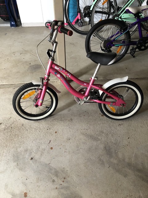 rebel sport girls bikes