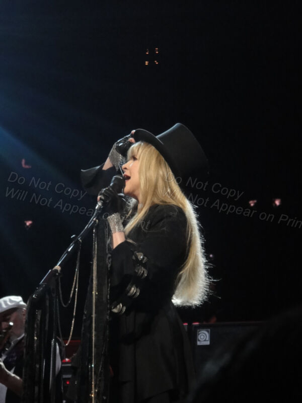 Stevie Nicks Fleetwood Mac - 2013 Original Concert Photo Pittsburgh