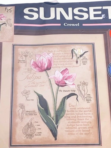 Vintage Sunset Botanical Tulips Crewel Kit #11117 Flowers Embroidery Sealed