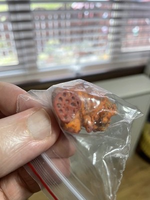 Item photo(s) from verified buyer