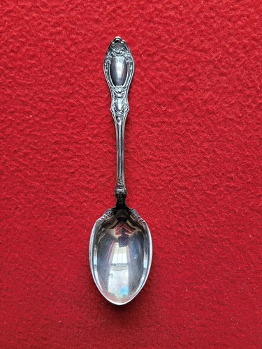 trippen【SPOON】 Hofmann's Lures Spinning Specialist Spoon | FishUSA