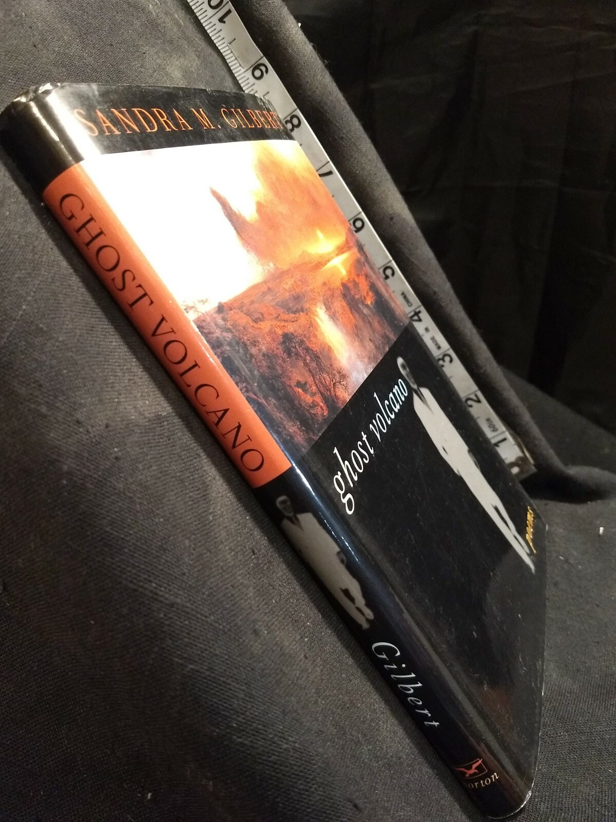 Ghost Volcano : Poems by Sandra M. Gilbert (1995, Hardcover)