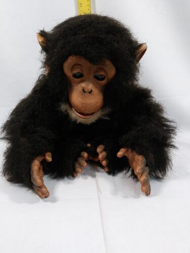Cuddle chimp hotsell