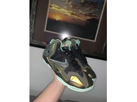 lebron 11 kings pride