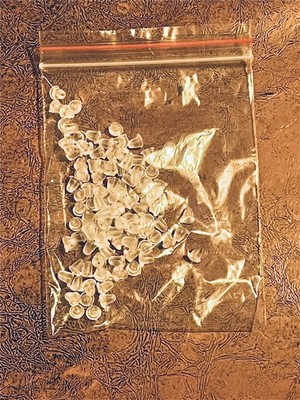 Artikelfoto(s) von einem verifizierten Käufer