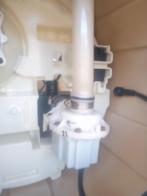 Fotos del artículo de un comprador verificado