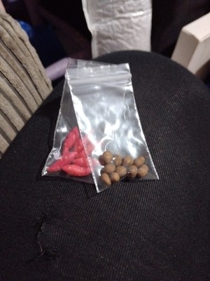 Artikelfoto(s) von einem verifizierten Käufer