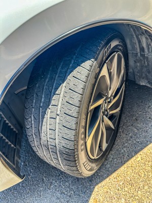 image 19 of exterior