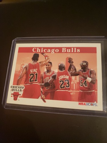 スポーツ・フィットネス CHICAGO BULLS THE 1990s 沸騰ブラドン Amazon.co.jp: NBAダイナスティシリーズ 1990s