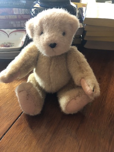 ノースアメリカンベア1982　　　　　　　　Fluffy VanderBear®︎ ノースアメリカンベア1982 Fluffy VanderBear®︎